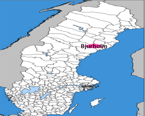 Bjurholm